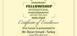 Sigma Academy Of Photography (SAP) Tarafından “Hon.FSAP” Unvanı Verildi